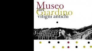 Museo del Giardino dei Vitigni Antichi